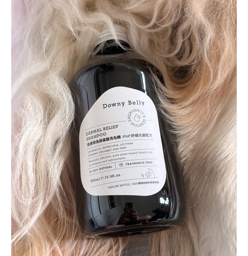 女人知己試用大隊,口碑行銷,部落客行銷,Downy Belly毛肚子,Downy Belly 保濕滋養胺基酸洗毛精,紅球薑淨膚配方,Downy Belly 保濕滋養胺基酸洗毛精-紅球薑淨膚配方,洗品天生防禦力，皮膚天生就很強,除了洗乾淨，其他的真的先不用,胺基酸清潔因子,好的界面活性劑，才能好洗,好沖淨,不易殘留,適量的細緻泡泡,狗貓皆適用,加拿大毒物學家安全把關,100%環保回收料再製瓶器,零廢棄為目標,低敏洗毛精,寵物訓練師好評,Downy Belly毛肚子,Downy Belly 皮膚救急胺基酸洗毛精,IPMP舒緩配方,Downy Belly 皮膚救急胺基酸洗毛精-IPMP舒緩配方,洗品天生防禦力,皮膚天生就很強,除了洗乾淨,其他的真的先不用,胺基酸清潔因子,APG+胺基酸清潔因子,IPMP高安全的成分,好的界面活性劑,才能好洗、好沖淨、不易殘留,適量的細緻泡泡,狗貓皆適用,加拿大毒物學家安全把關,100%環保回收料再製瓶器,零廢棄為目標,低敏洗毛精,寵物訓練師好評